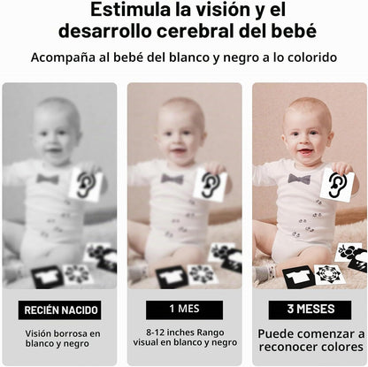 Tarjetas flash de alto contraste para bebés 0-3m